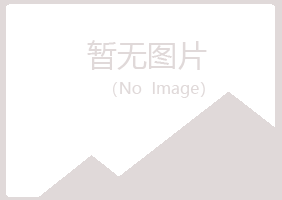 偃师冷安能源有限公司